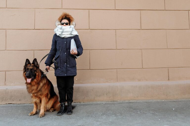 Blind woman wearing sunglasses with guide dog. Outdoor winter scene walking by a wall.
